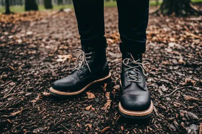 Illustration trod - Image 1