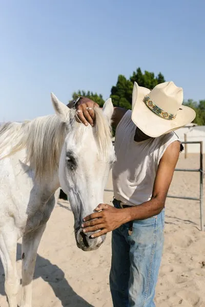 Illustration ranchers - Image 2