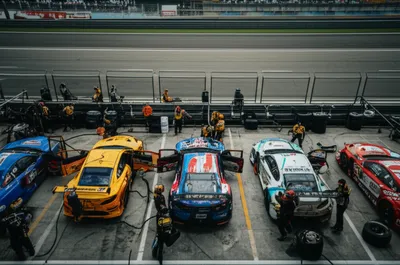 Hình ảnh minh họa paddock - Ảnh 1