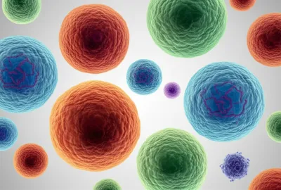 Illustration cytology - Image 1