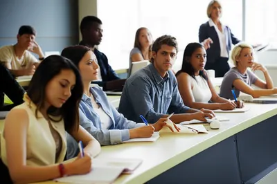 Illustration behaved - Image 1