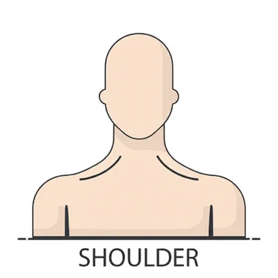 Illustration shoulder - Image 1