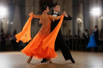 Illustration foxtrot - Image 1