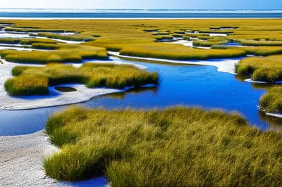 Illustration salt - Image 1