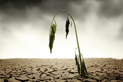 Illustration unaccomplished - Image 1