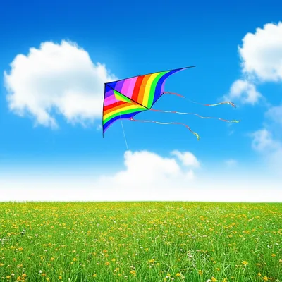 Illustration lofted - Image 1