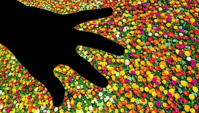 Illustration belittling - Image 1