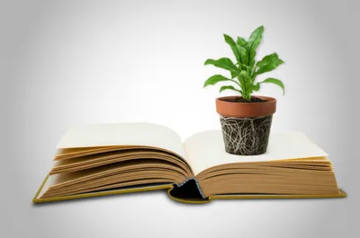 Illustration convert - Image 1