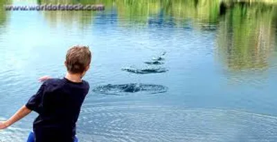 Illustration skip - Image 2