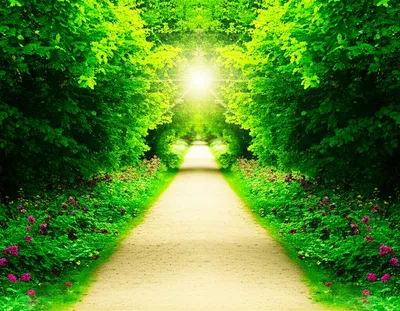 Illustration decisions - Image 1