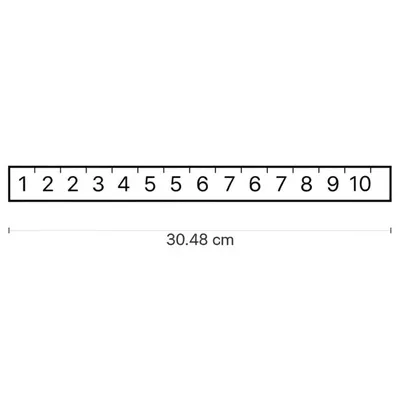 Illustration foot - Image 1