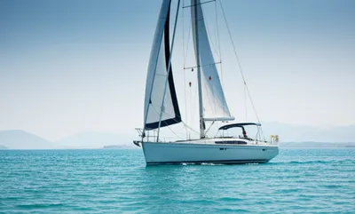 Illustration mules - Image 1