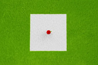 Illustration quadrate