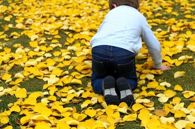 Illustration crawled - Image 1