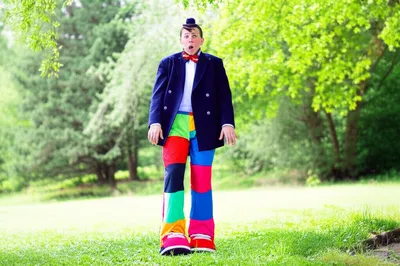 Illustration buffoon