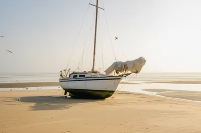 Illustration beached - Image 1