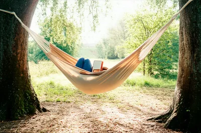 Illustration staying - Image 1