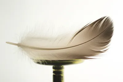 Illustration lite - Image 1