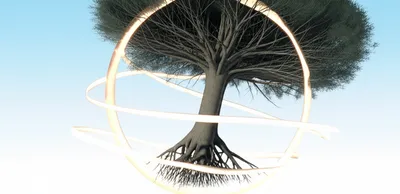 Illustration restricts