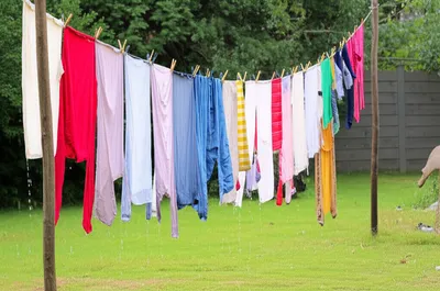 Illustration sagged - Image 1