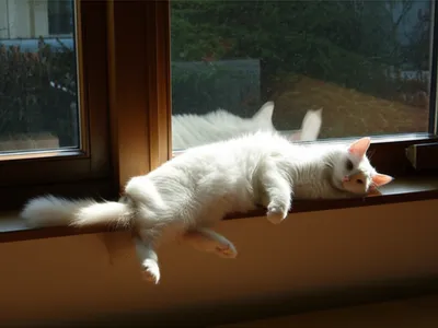 Illustration relaxed - Image 1