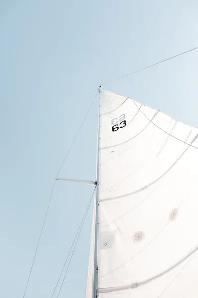 Illustration mainsail - Image 2
