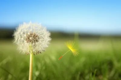 Illustration drifting - Image 1