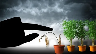 Illustration decry - Image 1