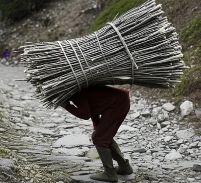 Illustration fagots - Image 1