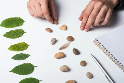 Illustration count - Image 1