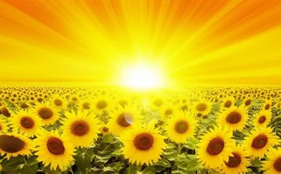 Illustration radiating - Image 1