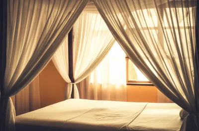 Illustration canopy - Image 1