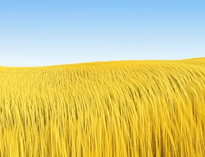 Illustration undulated - Image 1