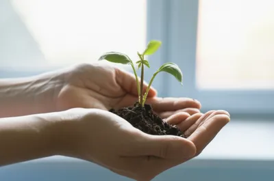 Illustration nurse - Image 1