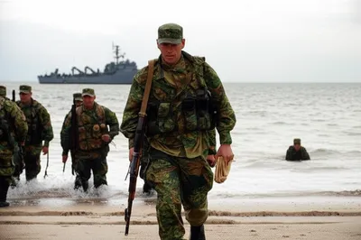 Illustration marines