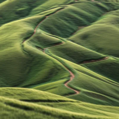 Illustration undulate - Image 1