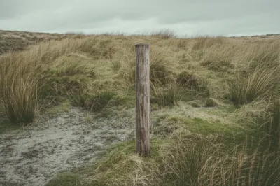 Illustration dun - Image 1