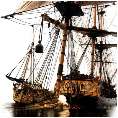 Illustration dolphin - Image 1