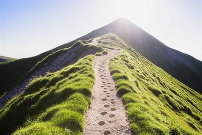 Illustration progressing - Image 1