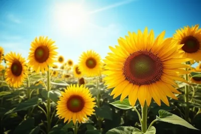 Illustration positive - Image 1