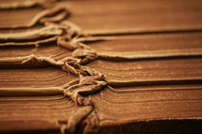 Illustration lacings - Image 1