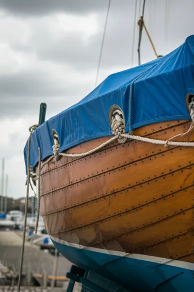 Illustration tarp - Image 1