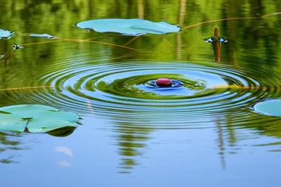 Illustration impacts - Image 1