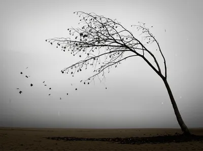 Illustration beaten - Image 1