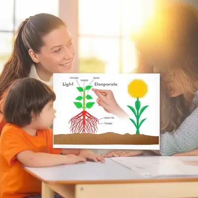 Illustration grounds - Image 1