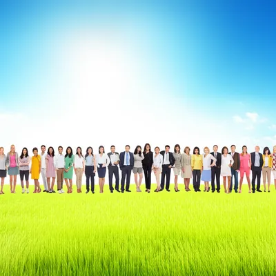 Illustration lines - Image 1