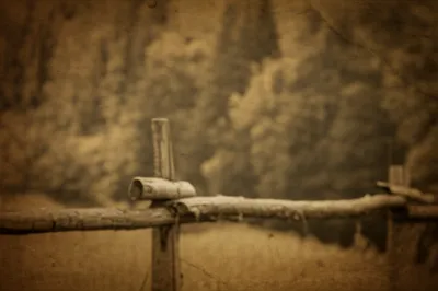 Illustration bistre - Image 1