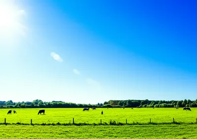 Illustration daytime - Image 1