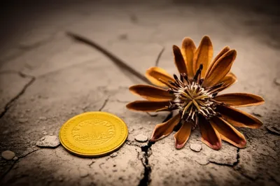 Illustration devalued - Image 1