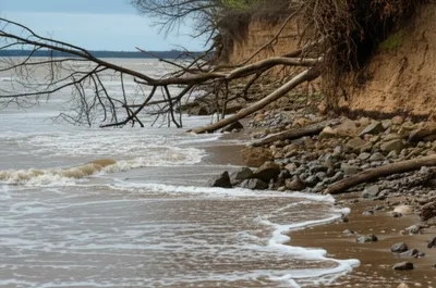 Illustration washed - Image 1